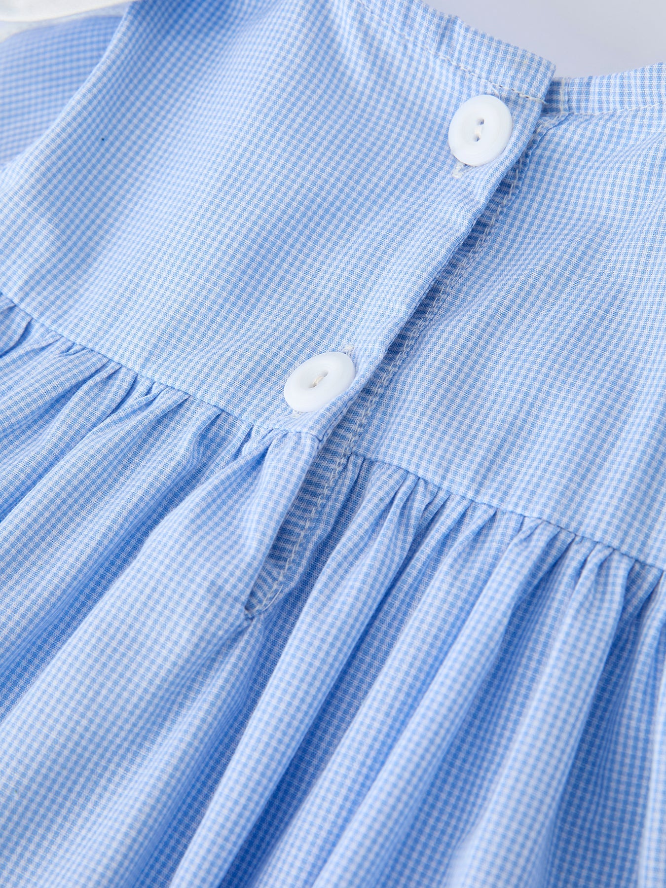 Blue Petal Peter Pan Collar Dress for Girls