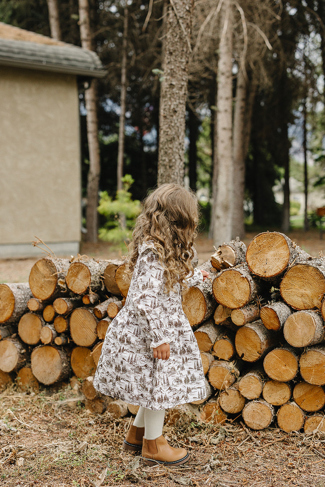 Baby & Girls Brown Toile Dress