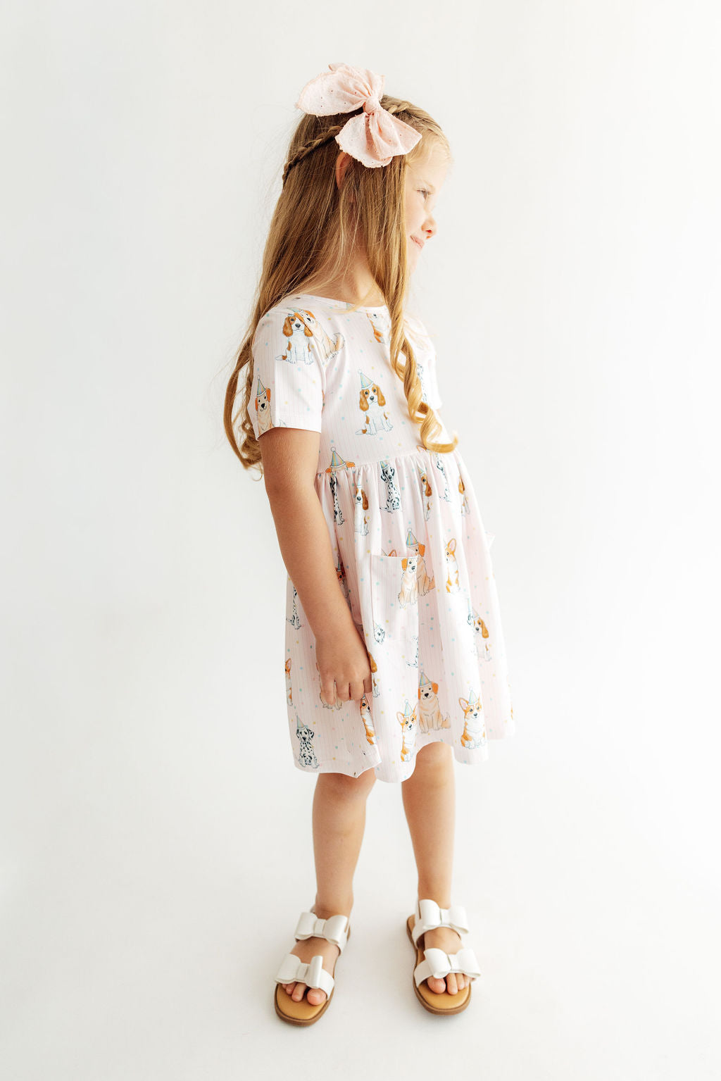 Girls Party Pups S/S Pocket Twirl Dress